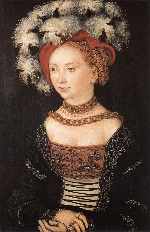 CRANACH, Lucas the Elder Portrait of a Young Woman dfg